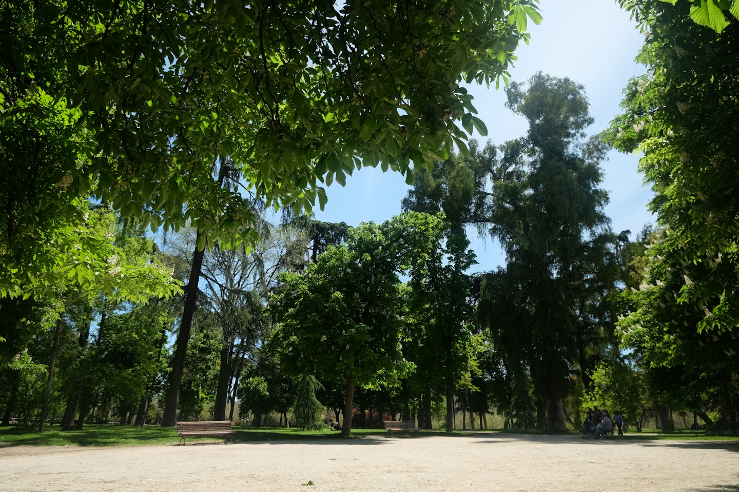 A dirt path leads past wooden benches through a park.