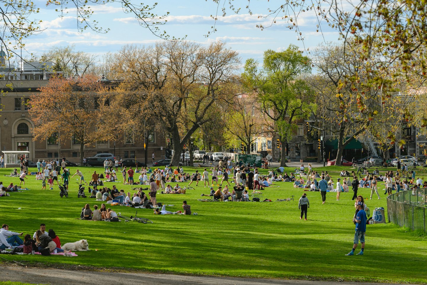 People relax and play in a sunny city park.